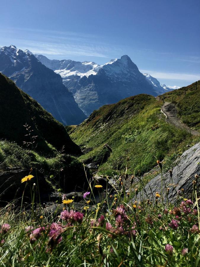 Silberhorn Grindelwald Exterior foto